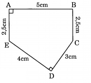 huong-dan-giai-bai-tap-sgk-toan-lop-5-luyen-tap-chung-trang-169-toan-5