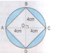 huong-dan-giai-bai-tap-sgk-toan-lop-5-on-tap-ve-tinh-chu-vi-dien-tich-mot-so-hinh-2