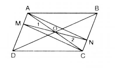 huong-dan-giai-bai-tap-sgk-toan-lop-8-doi-xung-tam-bai-55-hinh-1