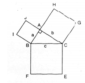 huong-dan-giai-bai-tap-sgk-toan-lop-8-tap-1-dien-tich-hinh-chu-nhat-bai-10