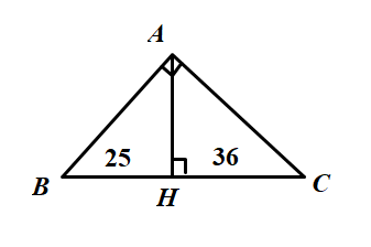 huong-dan-giai-bai-tap-sgk-toan-lop-8-tap-2-cac-truong-hop-dong-dang-cua-tam-giac-vuong-bai-51