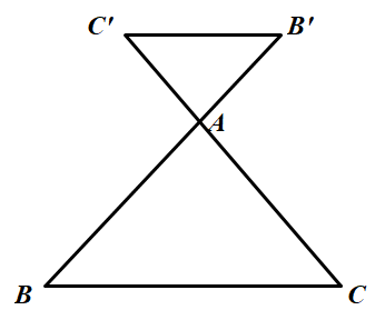 huong-dan-giai-bai-tap-sgk-toan-lop-8-tap-2-khai-niem-hai-tam-giac-dong-dang-bai-25-hinh-2