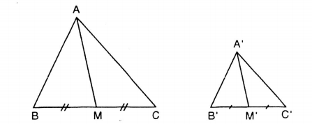 huong-dan-giai-bai-tap-sgk-toan-lop-8-tap-2-truong-hop-dong-dang-thu-hai-(c-g-c)-bai-33