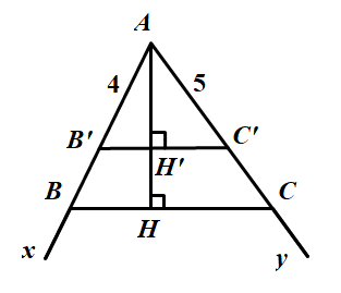 huong-dan-giai-bai-tap-sgk-toan-lop-8-tap-2-truong-hop-dong-dang-thu-hai-(c-g-c)-bai-34