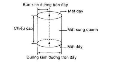 huong-dan-giai-bai-tap-sgk-toan-lop-9-hinh-tru-dien-tich-xung-quanh-va-the-tich-hinh-tru-bai-1-hinh-2