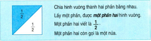 on-bai-li-thuyet-toan-lop-2-mot-phan-hai