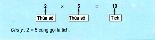 on-bai-li-thuyet-toan-lop-2-tich-thua-so