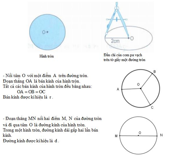 on-bai-li-thuyet-toan-lop-5-hinh-tron-duong-tron-chu-vi-hinh-tron