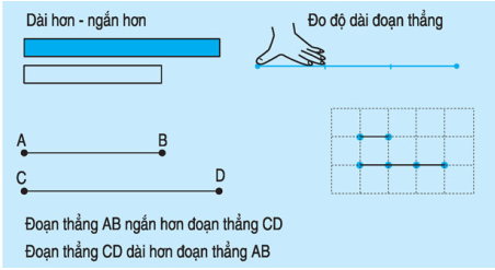 on-tap-ly-thuyet-toan-lop-1-do-dai-doan-thang-thuc-hanh-do-do-dai-doan-thang