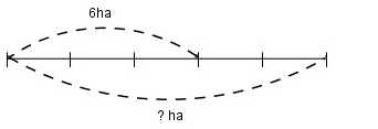 huong-dan-giai-sach-bai-tap-toan-lop-5-luyen-tap-chung-40-41-2