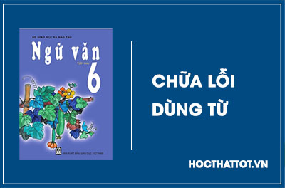 soan-van-lop-6-chua-loi-dung-tu