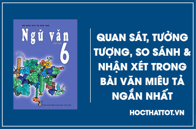 soan-van-lop-6-quan-sat-tuong-tuong-so-sanh-va-nhan-xet-trong-bai-van-mieu-ta