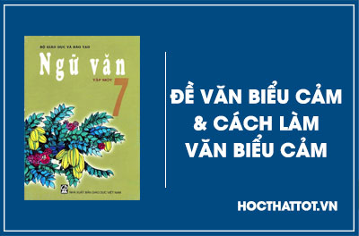 soan-van-lop-7-de-van-bieu-cam-va-cach-lam-van-bieu-cam