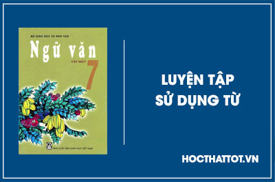 soan-van-lop-7-luyen-tap-su-dung-tu