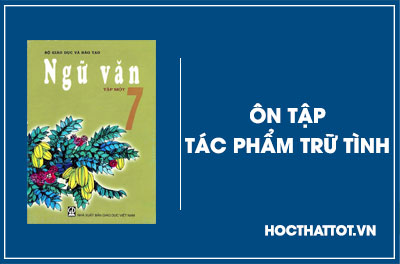 soan-van-lop-7-on-tap-tac-pham-tru-tinh