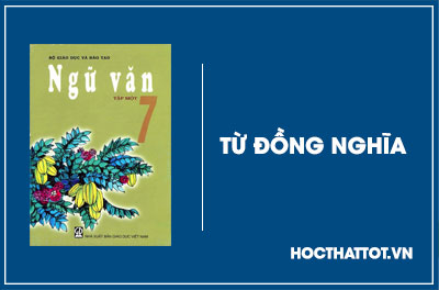 soan-van-lop-7-tu-dong-nghia