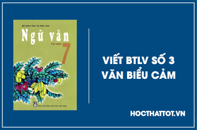 soan-van-lop-7-viet-btlv-so-3-van-bieu-cam