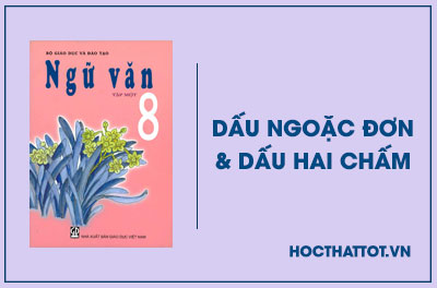 soan-van-lop-8-dau-ngoac-donva-dau-hai-cham