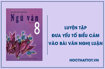 soan-van-lop-8-luyen-tap-dua-yeu-to-bieu-cam-vao-bai-van-nghi-luan