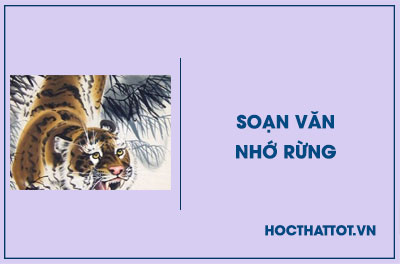 soan-van-lop-8-nho-rung