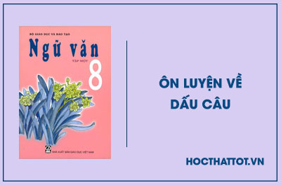 soan-van-lop-8-on-luyen-ve-dau-cau