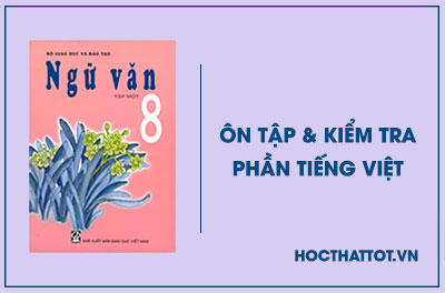 soan-van-lop-8-on-tap-va-kiem-tra-phan-tieng-viet