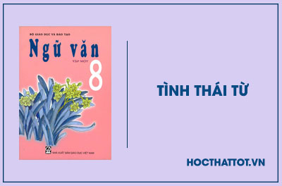 soan-van-lop-8-tinh-thai-tu