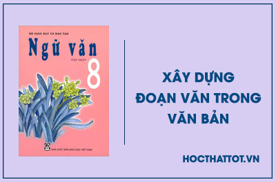 soan-van-lop-8-xay-dung-doan-van-trong-van-ban