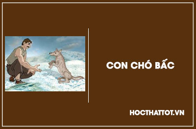 soan-van-lop-9-con-cho-bac