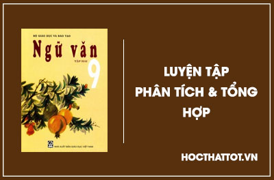 soan-van-lop-9-luyen-tap-phan-tich-va-tong-hop