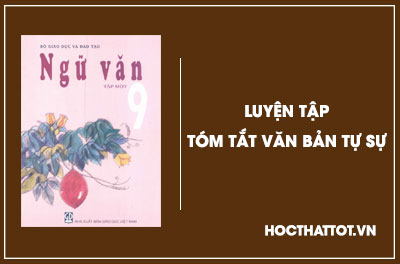 soan-van-lop-9-luyen-tap-tom-tat-van-ban-tu-su