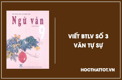 soan-van-lop-9-viet-btlv-so-3