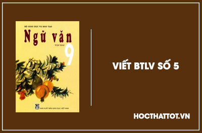 soan-van-lop-9-viet-btlv-so-5