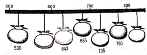  toan-lop-2-nc-chuong-6-bai-7-bai-tap-tong-hop-13