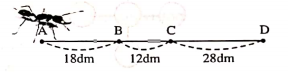 toan-nang-cao-lop-2-chuong-2-bai-1-cac-kien-thuc-co-ban-can-luu-y-hinh-18 - Copy - Copy