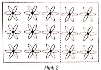 toan-nang-cao-lop-2-chuong-4-bai-1-hinh-42