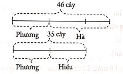 toan-nang-cao-lop-5-trang-117-hinh-1