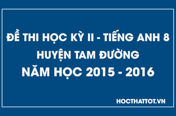 de-kiem-tra-hoc-ky-2-tieng-anh-9-huyen-tam-duong-2015-2016