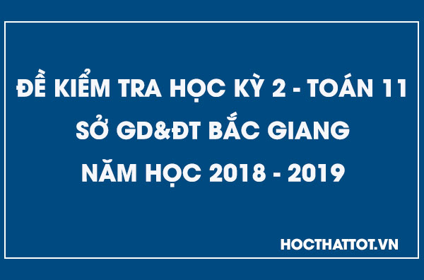 de-kiem-tra-hoc-ky-2-toan-11-nam-2018-2019-bac-giang