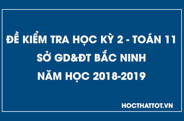 de-kiem-tra-hoc-ky-2-toan-11-nam-2018-2019-bac-ninh