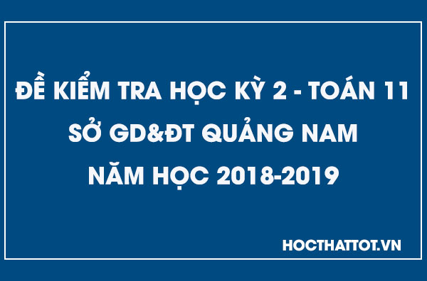 de-kiem-tra-hoc-ky-2-toan-11-nam-2018-2019-quang-nam