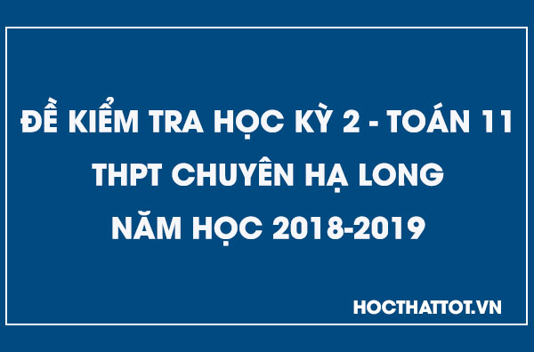 de-kiem-tra-hoc-ky-2-toan-11-nam-2018-2019-thpt-chuyen-ha-longjpg