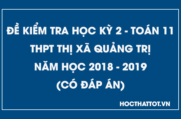 de-kiem-tra-hoc-ky-2-toan-11-nam-2018-2019-thpt-thi-xa-quang-tri