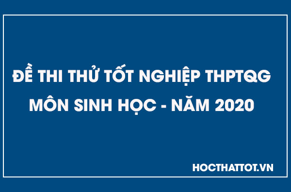 de-thi-thu-thptqg-mon-sinh-nam-2020