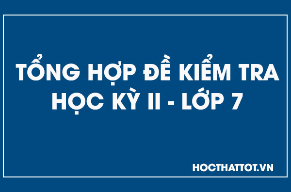 tong-hop-de-kiem-tra-hoc-ky-ii-lop-7