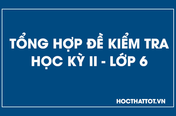 tong-hop-de-kiem-tra-hoc-ky-ii-lop6